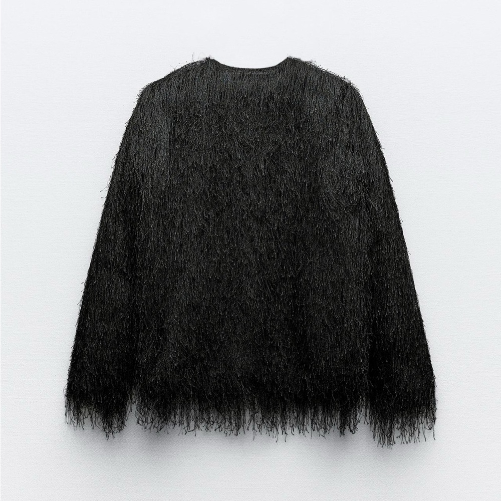 COPY - FRINGED ZARA JACKET. NWT ABSOLUTELY STUNNING❣️ - Picture 4 of 7